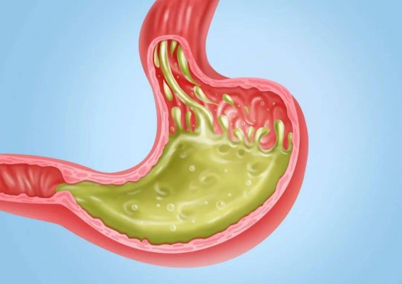 16823862512803.jpeg 2c311b2584bc43358eef2f2592f9c77a.jpeg