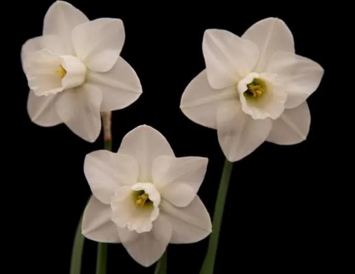 16831904712000.png 1.png