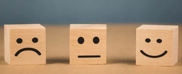 16836158883641.png 1.png