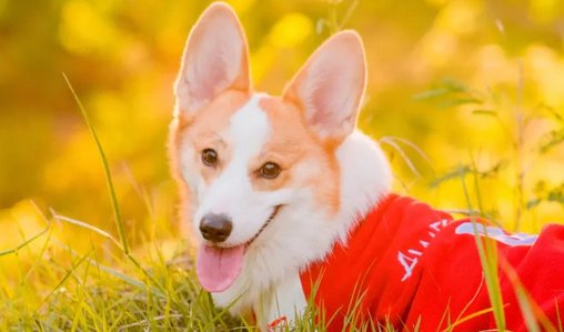 16837053716434.png 1.png