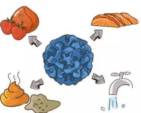 16837955227488.png 1.png