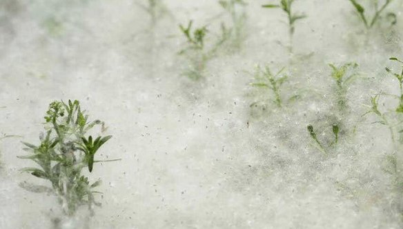 16837966056606.png 1.png