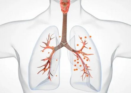 16837969764169.png 1.png