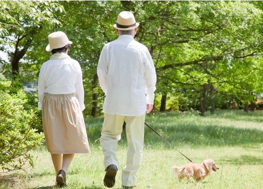 16838799742207.png 1.png