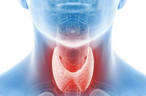 16842243909453.png 1.png