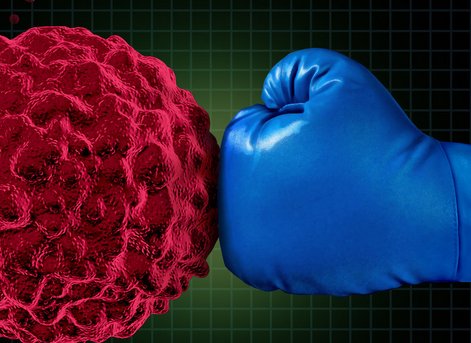 16842271744887.png 1.png