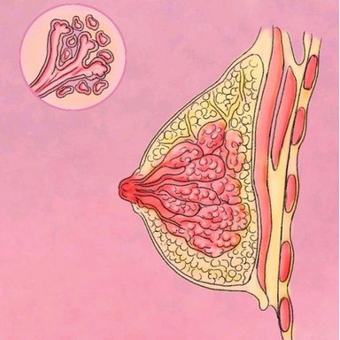 16843961156228.png 1.png