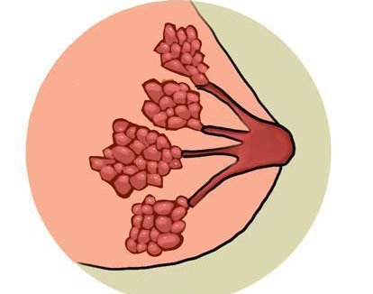 16844832205798.png 1.png