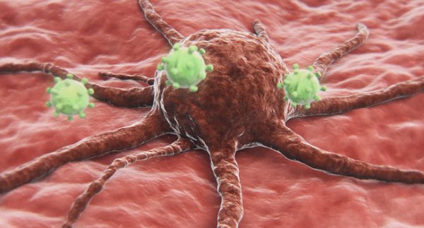 16850900898904.png 1.png