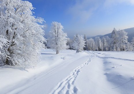 17029757071515.png 1.png