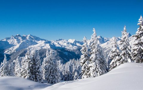 17032345115924.png 1.png