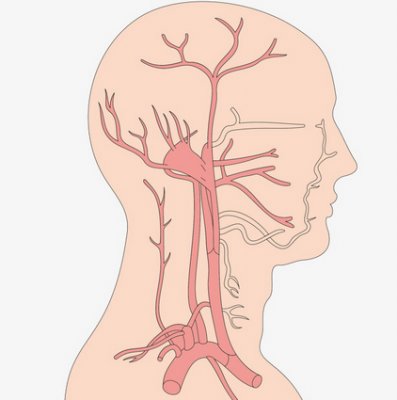 17034949553571.png 1.png