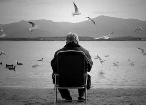 17038364122055.png 1.png