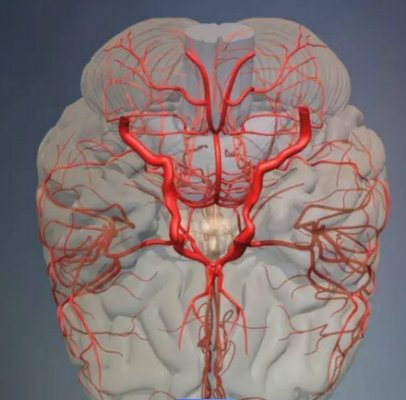 17041868217086.png 1.png