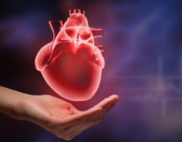 17041870095367.png 1.png