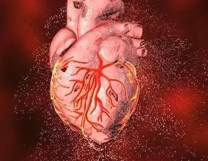 17042710544499.png 1.png