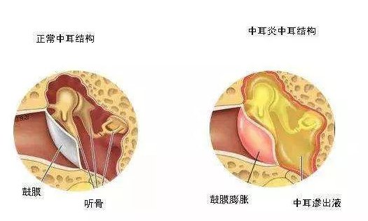 17047922603102.png 1.png