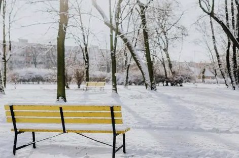 17055611617248.png 1.png